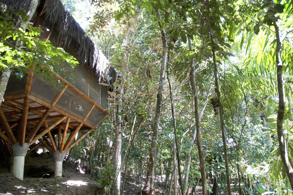 Universo Pol Bamboo Hostel Morro de São Paulo Δωμάτιο φωτογραφία